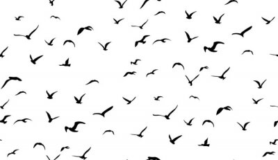 Tapete Seagulls fliegen in den Himmel, nahtlose Vektor-Muster