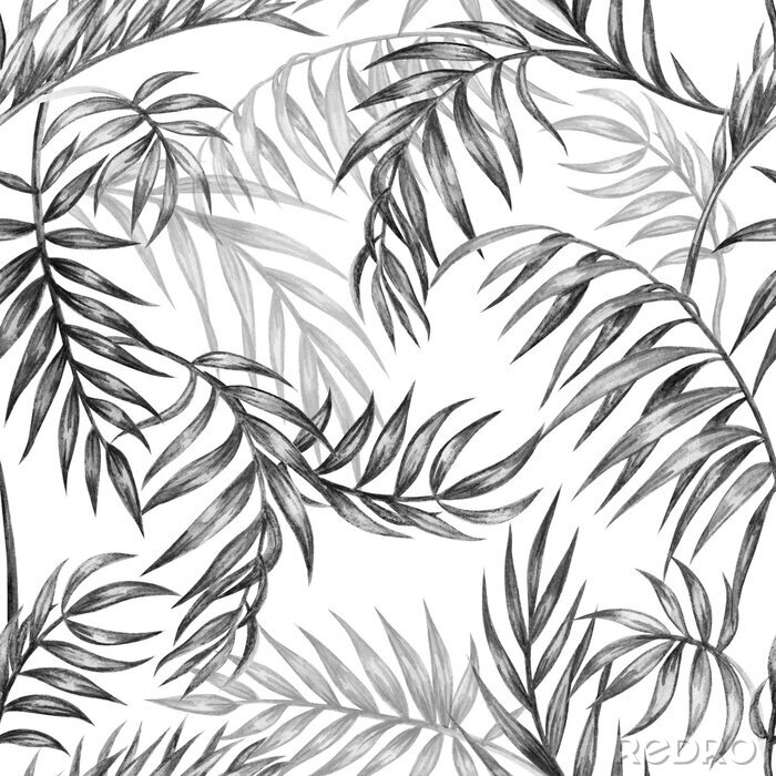 Tapete Seamless black and white pattern of palm leaves, tropical background, hand drawing
