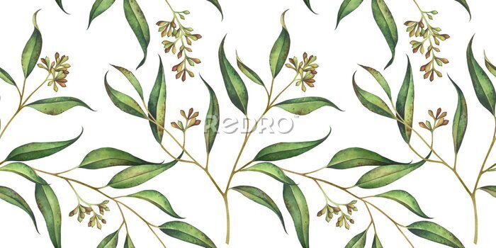 Tapete Seamless floral pattern with eucalyptus branches. Watercolor illustration.