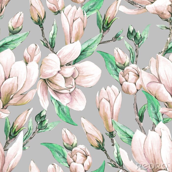 Tapete Seamless floral wallpaper with japanese magnolia flowers, watercolor pattern for  spring woman dress.