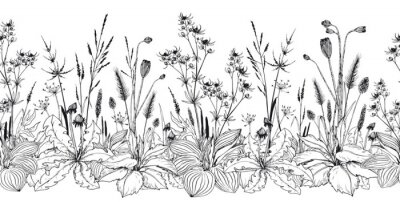 Seamless horizontal background with wild herbs and flowers.