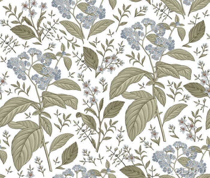 Tapete Seamless pattern. Heliotrope garden wildflowers. Beautiful blooming realistic isolated flowers. Vintage background fabric Wallpaper baroque Drawing engraving sketch Vector victorian illustration retro