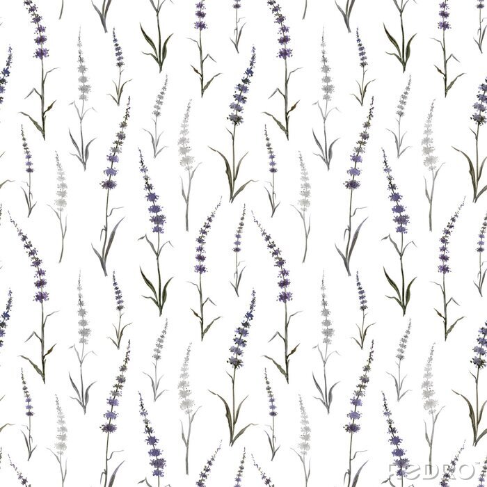 Tapete Seamless pattern of abstract plants similar to mint or lavender on a white background, watercolor drawing, print for fabric and other designs.