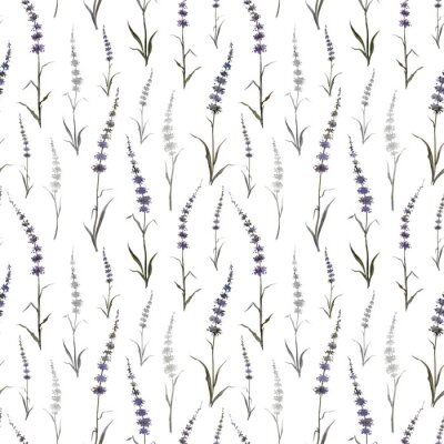 Tapete Seamless pattern of abstract plants similar to mint or lavender on a white background, watercolor drawing, print for fabric and other designs.