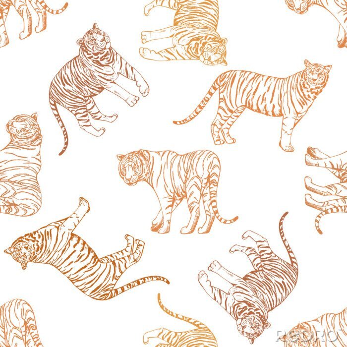 Tapete Seamless pattern of hand drawn sketch style tigers. Vector illustration isolated on white background.