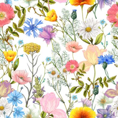 Tapete Seamless pattern of summer wildflowers