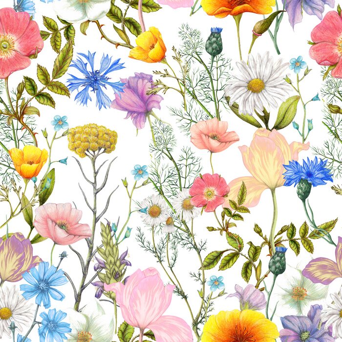 Tapete Seamless pattern of summer wildflowers