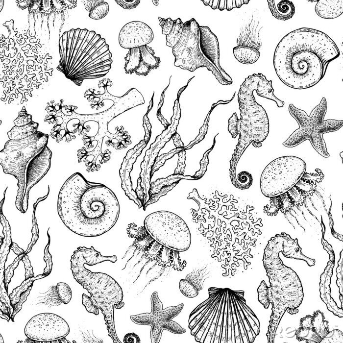 Tapete Seamless pattern. Underwater world hand drawn. Sketch illustration. Seaweed, coral, seashell, jellyfish illustration. Vintage design template. Undersea world collection. Black and white style.