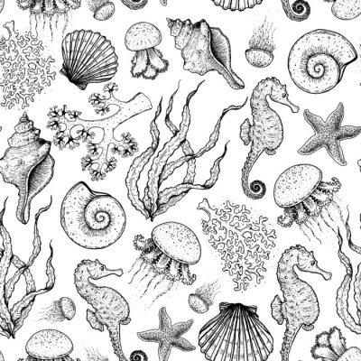 Tapete Seamless pattern. Underwater world hand drawn. Sketch illustration. Seaweed, coral, seashell, jellyfish illustration. Vintage design template. Undersea world collection. Black and white style.