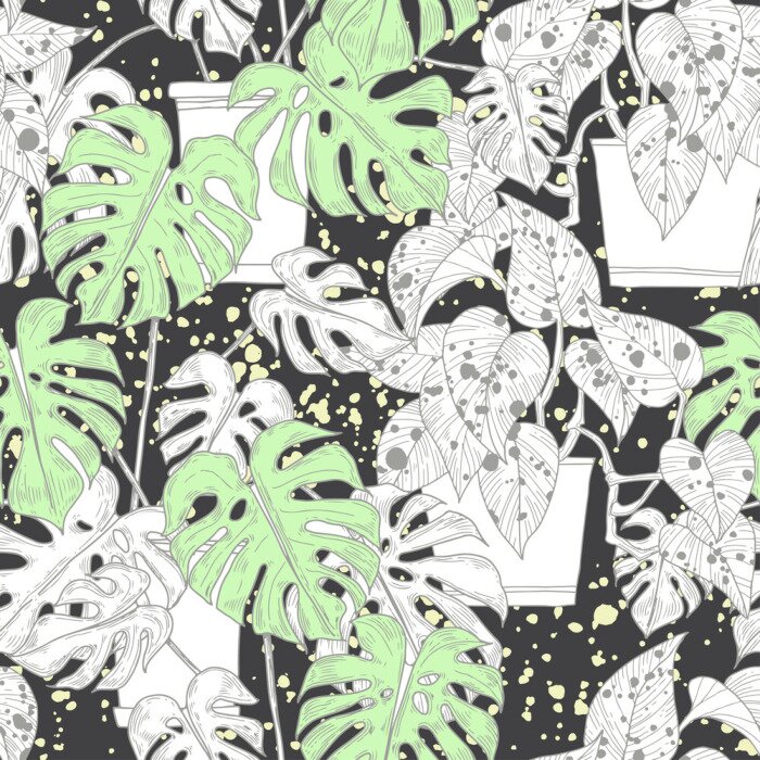 Tapete Seamless pattern with  Scindapsus aureus Eagler and  Monstera  in pots on black background. Vector monochrome illustration.