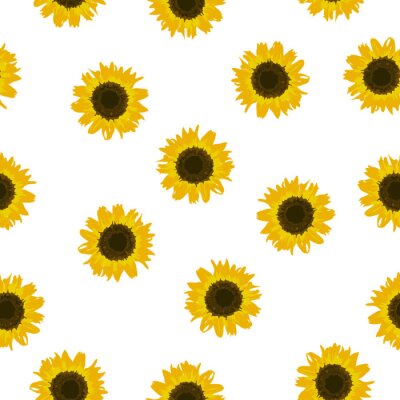 Tapete Seamless pattern yellow Sunflower on white background, vector eps 10