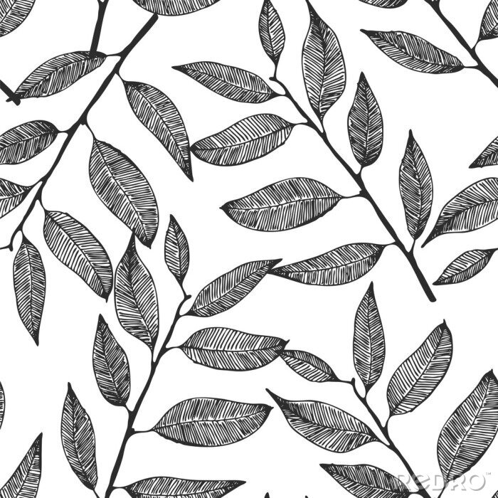 Tapete Seamless vector background with hand drawn leaves, eucalyptus pattern