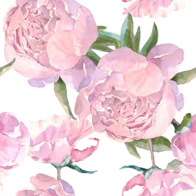 Tapete Shabby Chic rosa Rosen auf weißem Hintergrund