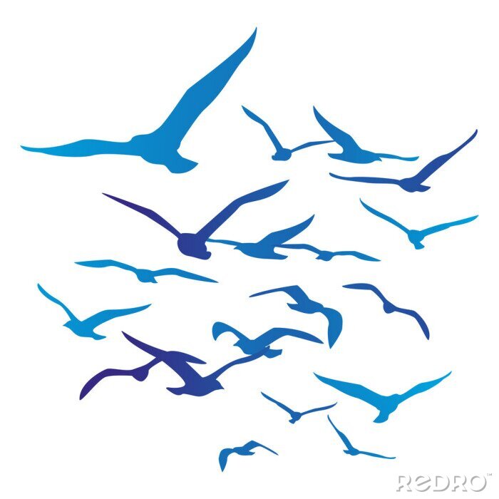 Tapete Silhouetten von blauen Vögeln