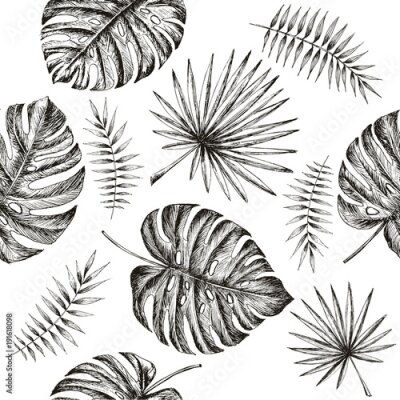 Tapete Skizze von Monsterblättern und exotischen Palmen