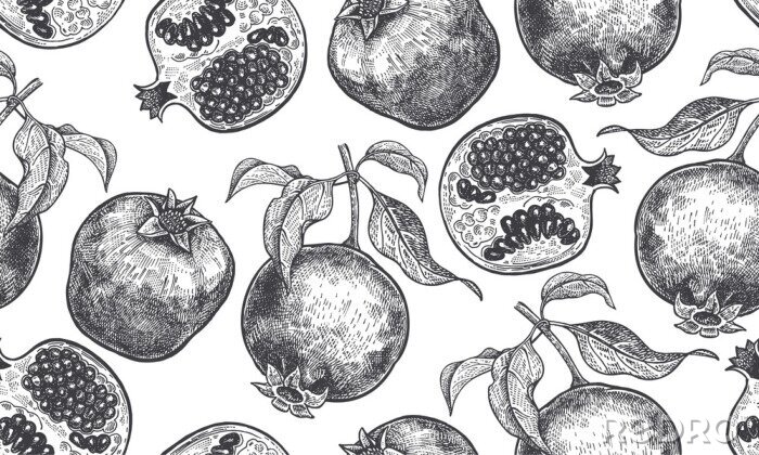 Tapete Skizzierte Granatapfelfrucht mit Blättern
