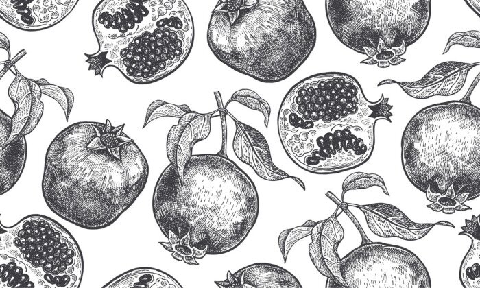 Tapete Skizzierte Granatapfelfrucht mit Blättern