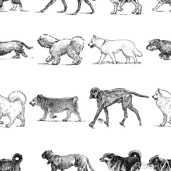 Tapete Skizzierte Hunde verschiedener Rassen