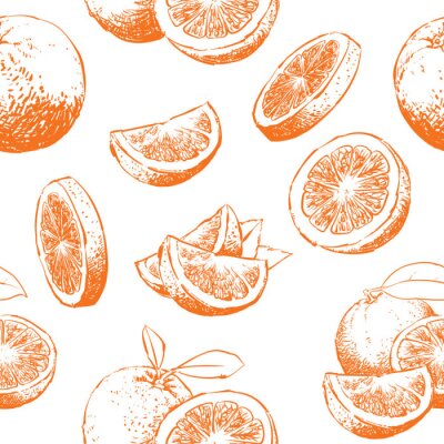 Skizzierte Orangen im Ganzen und in Stücken