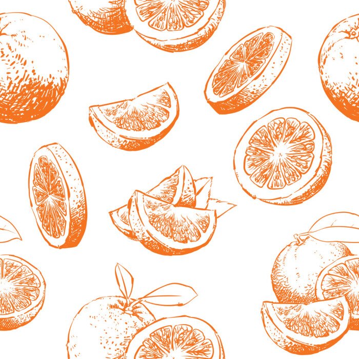 Tapete Skizzierte Orangen im Ganzen und in Stücken