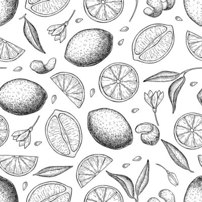 Tapete Skizzierte Zitronen und Blätter