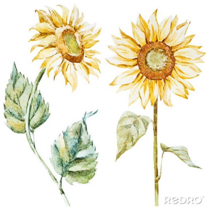 Tapete Sonnenblumen im Boho-Stil