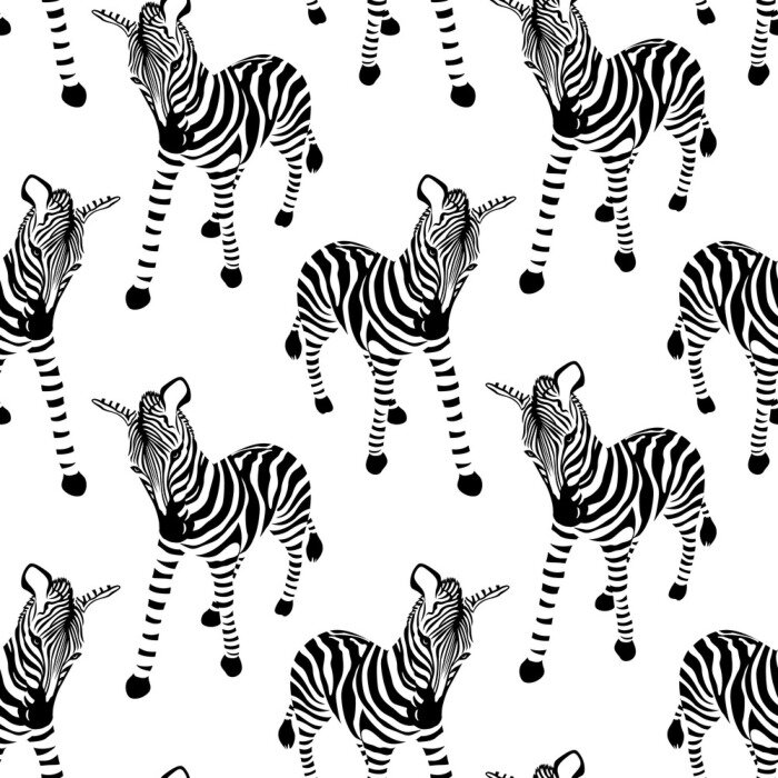 Tapete Stehende Zebras auf weißem Hintergrund
