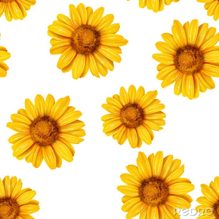 Tapete Sunflower seamless pattern. Background with yellow flowers
