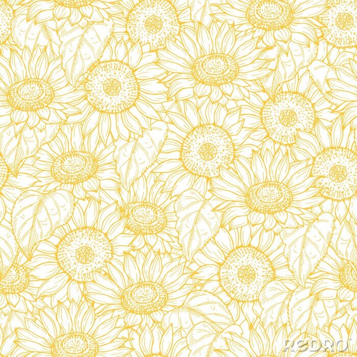 Tapete Sunflower seamless pattern. Vector line yellow flowers texture background. Illustration sunflower seamless pattern, floral spring