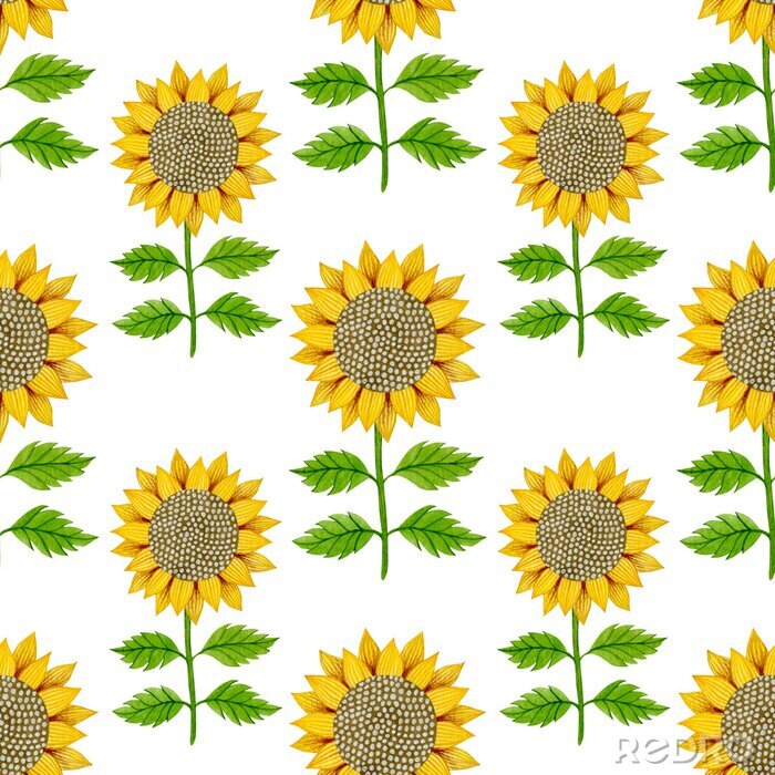 Tapete Sunflower watercolor seamless pattern on a white background.