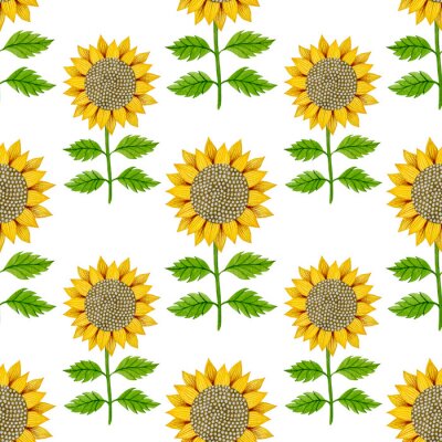 Tapete Sunflower watercolor seamless pattern on a white background.