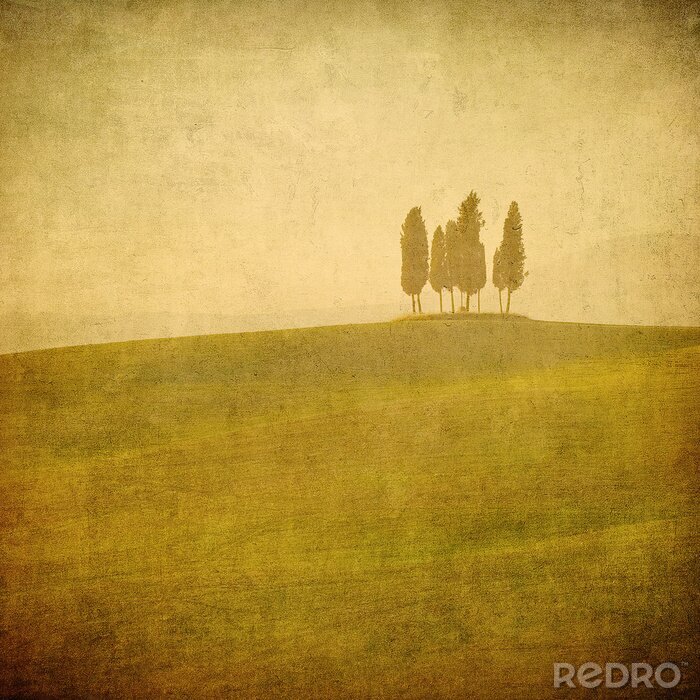 Tapete Toskana in Sepia
