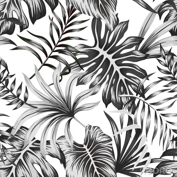Tapete Tropical black and white palm leaves seamless pattern white background. Exotic jungle wallpaper.