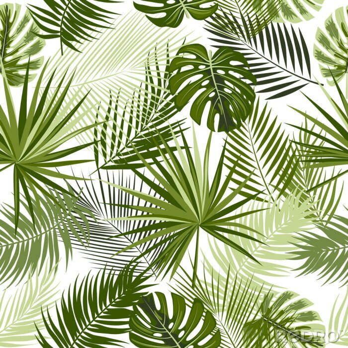 Tapete Tropical jungle palm leaves seamless pattern