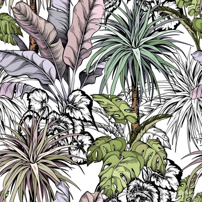 Tapete Tropische Blätter und Palmen