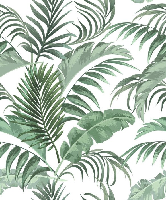 Tapete Tropische Pflanzen mit phänomenalen Blättern