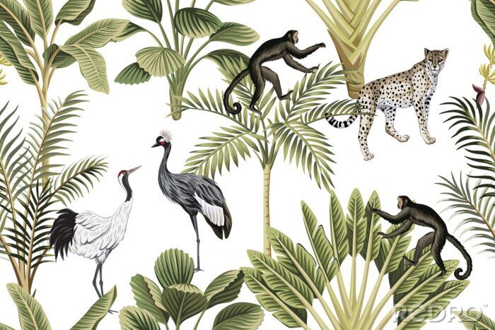 Tapete Tropische Tiere und Pflanzen in gedeckten Farben