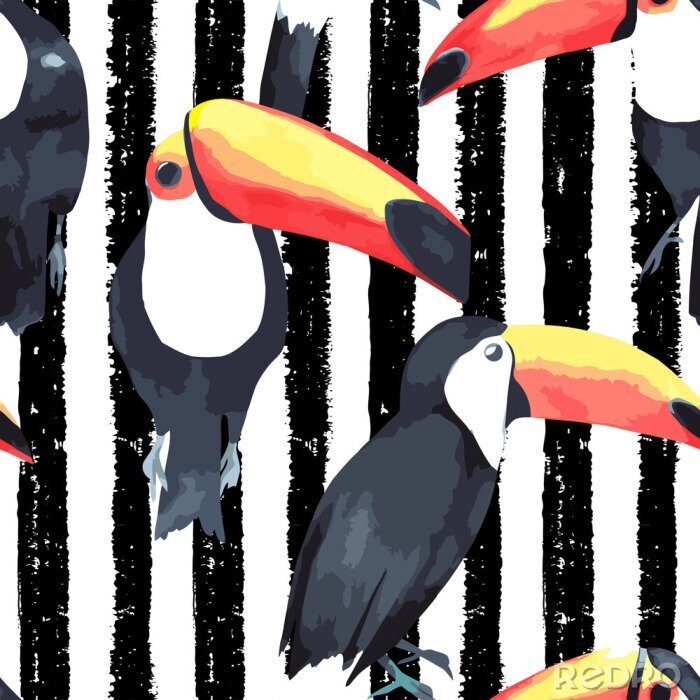 Tapete Tukane auf schwarzen und weißen Streifen