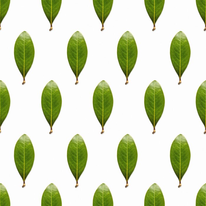 Tapete Unbefleckte grüne Blätter