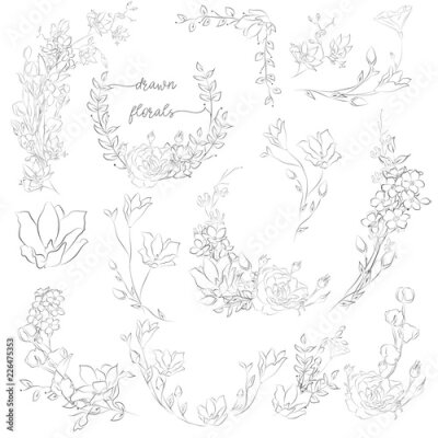 Tapete Vector Drawn Plants and Flowers, Wreaths, Corners, Branches