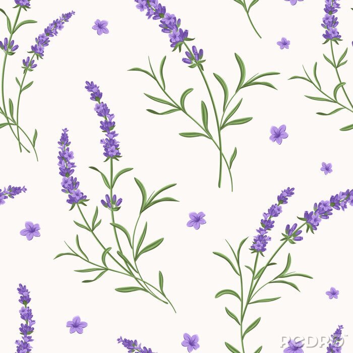 Tapete Vector Lavendel nahtlose Muster. Schöner und eleganter Lavendel blüht Hintergrund