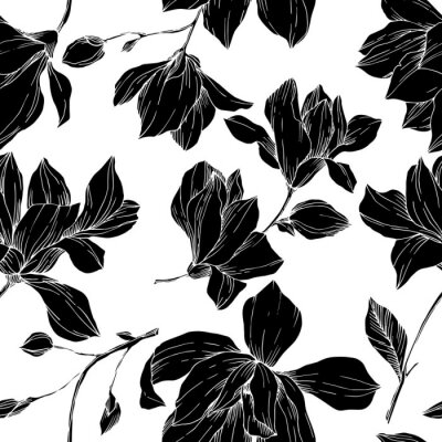 Tapete Vector Magnolia floral botanical flowers. Black and white engraved ink art. Seamless background pattern.