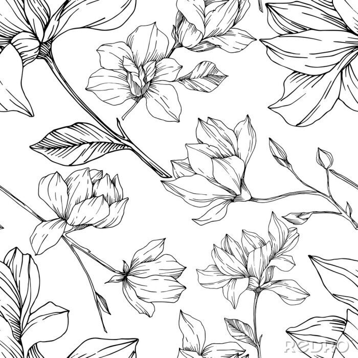 Tapete Vector Magnolia floral botanical flowers. Black and white engraved ink art. Seamless background pattern.