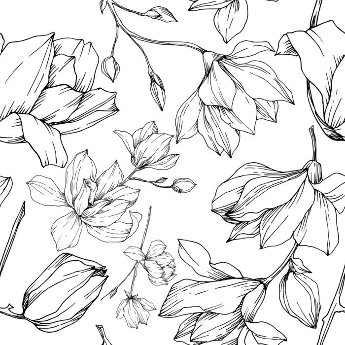 Tapete Vector Magnolia floral botanical flowers. Black and white engraved ink art. Seamless background pattern.