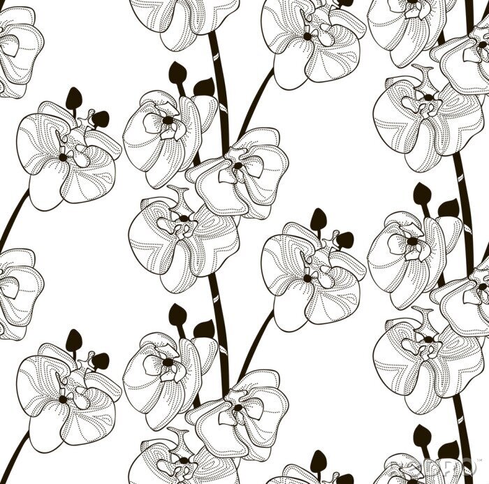 Tapete Vector schwarzes nahtloses Muster mit gezogenen Orchideen-Blumen