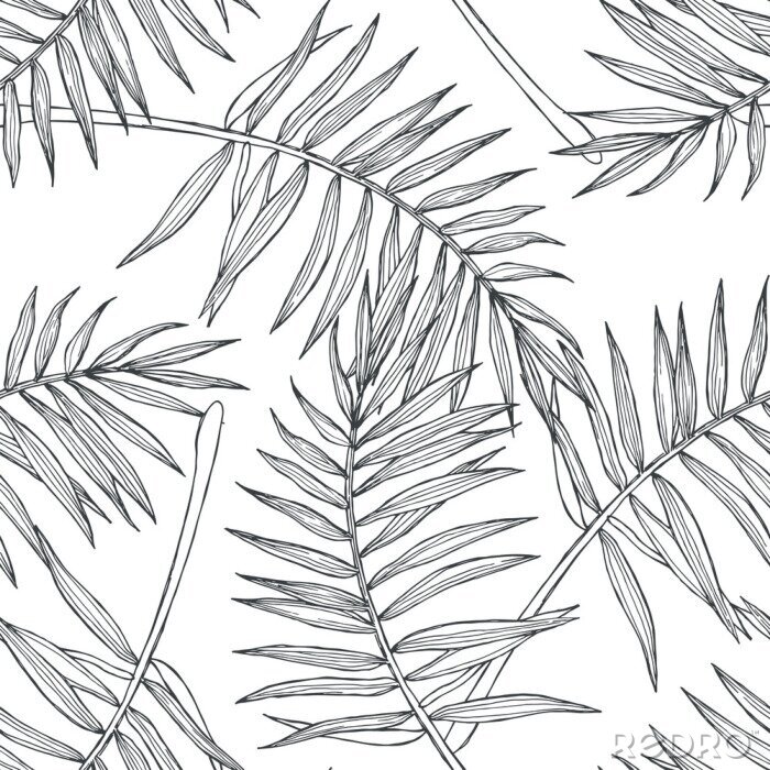 Tapete Vector vintage botanical seamless pattern with palm leaves in engraving style. Hand drawn texture with tropical plant branches isolated on white. Floral background. Sketch of natural element.