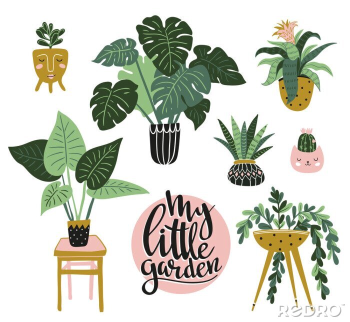 Tapete Verschiedene Topfpflanzen mit Beschreibung Illustration
