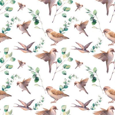 Tapete Vögel und Eukalyptuszweige
