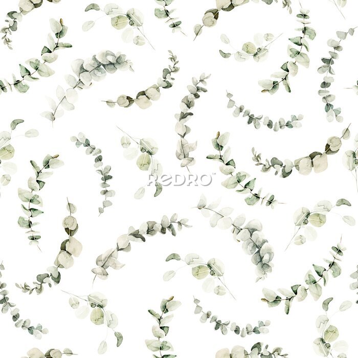 Tapete Watercolor floral seamless pattern of greenery. Hand painted green leaves of eucalyptus isolated on white background. Botanical illustration for design, print, background