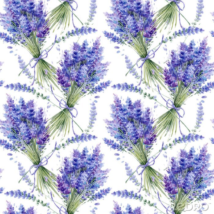 Tapete Watercolor hand drawn texture (pattern) with lavender bouquets on white background